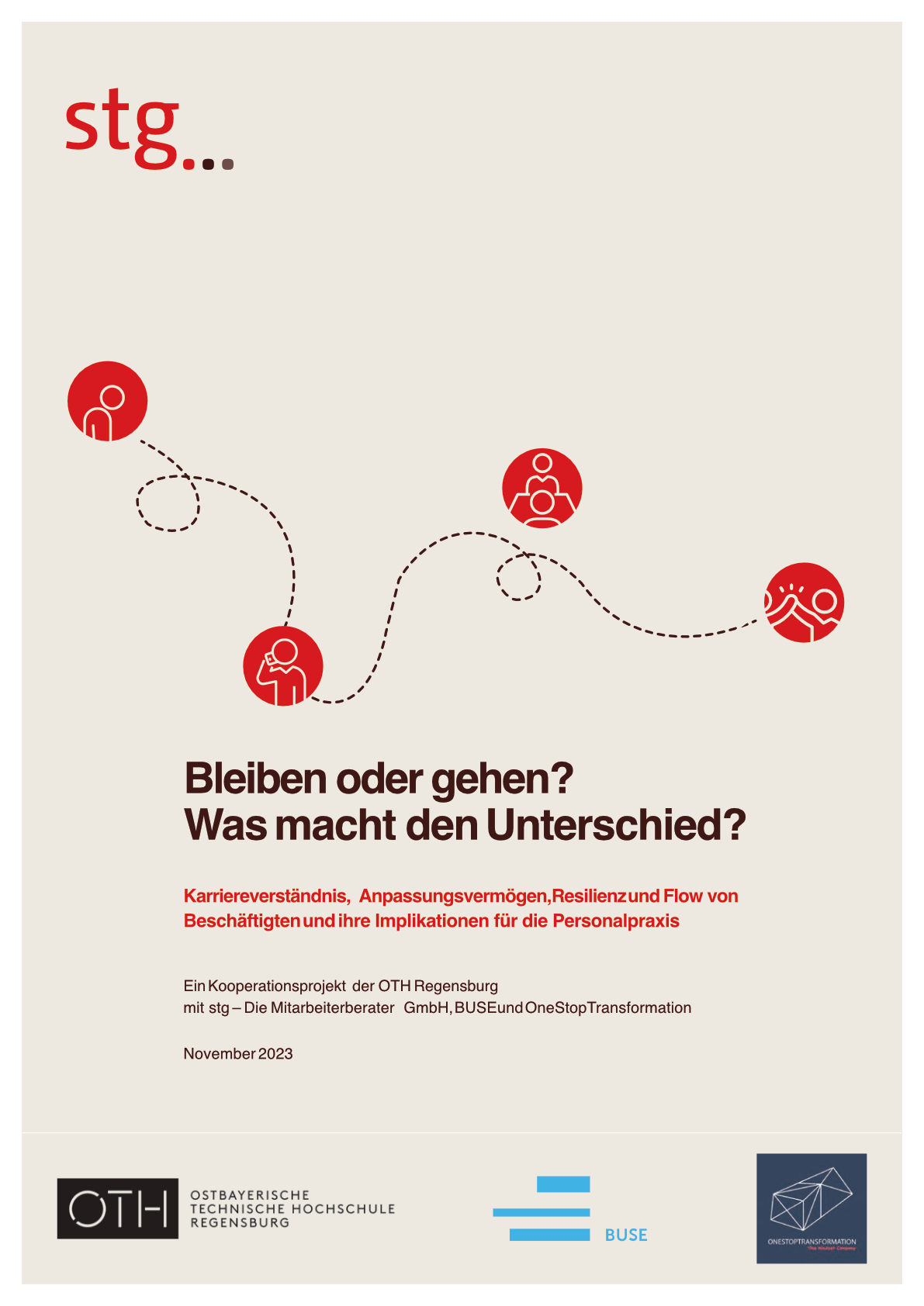 stg Studie Karriereverständnis