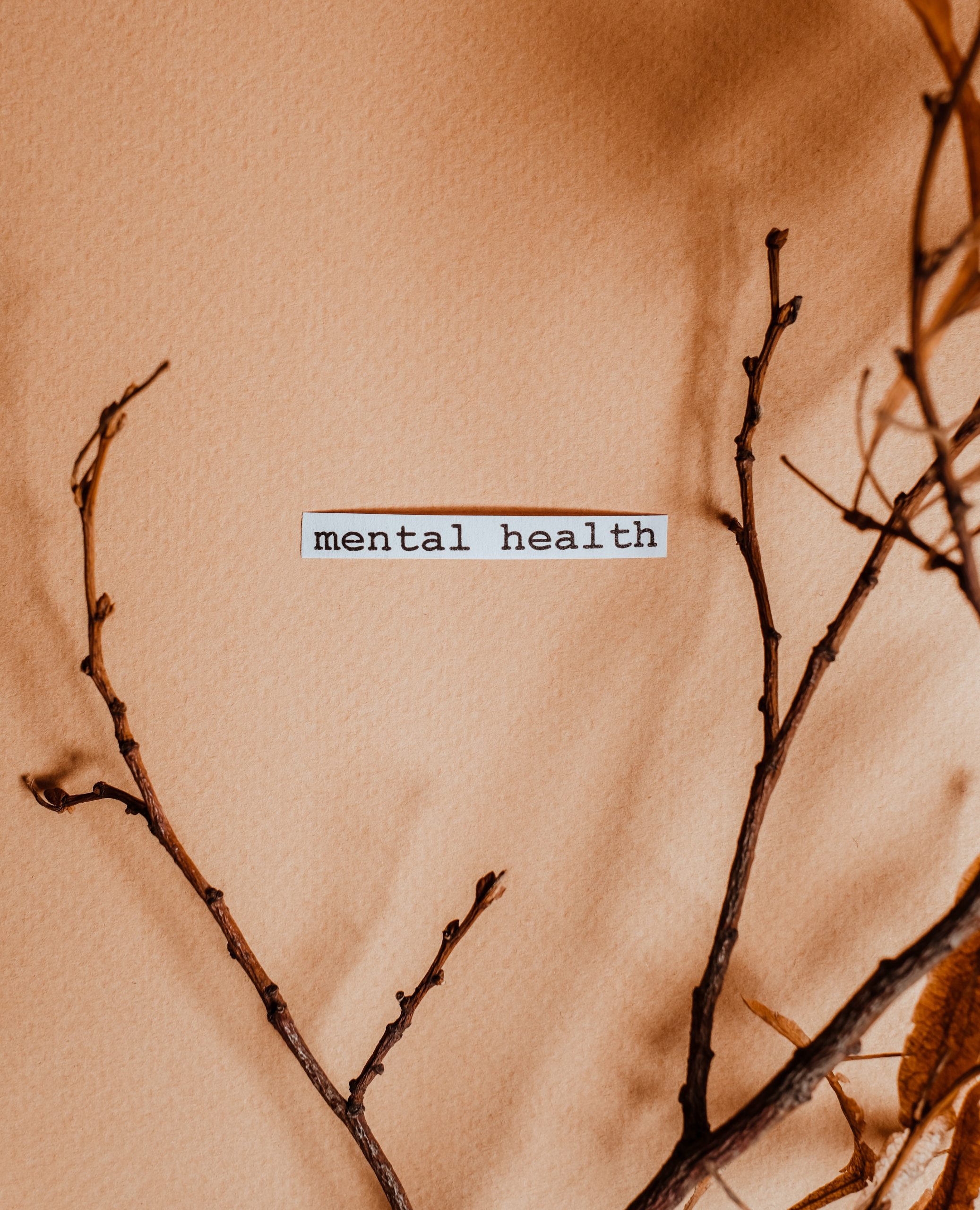 Ein getrockneter Zweig und die Worte mental health aus Papier ausgeschnitten